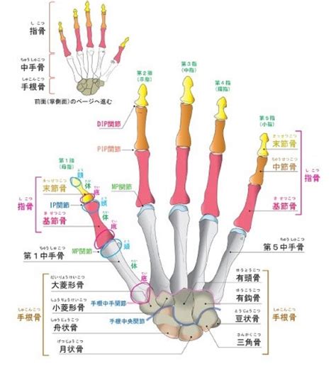 指節配印